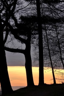 Landscape on an evening in autumn, November, Germany
