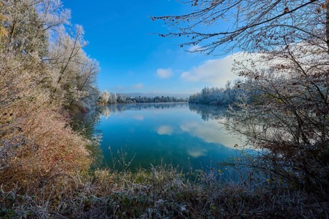 A lake in winter with bare trees and a clear reflection in the water, hoarfrost, winter, Mondsee,