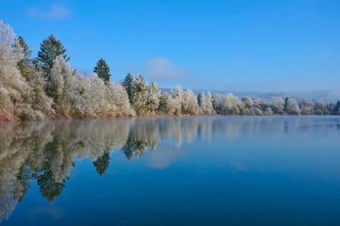 Lake with winter trees whose reflections appear on the calm water surface, hoarfrost, winter,