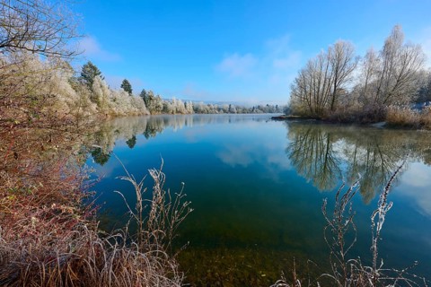 A lake with winter trees and water that wonderfully reflects the clear sky, hoarfrost, winter,