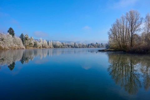 A quiet winter day at a lake with mirror-like water and bare trees, hoarfrost, winter, Mondsee,