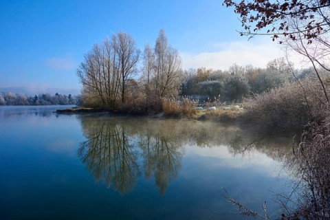 A peaceful winter morning with trees by the lake reflecting in the clear water, hoarfrost, winter,