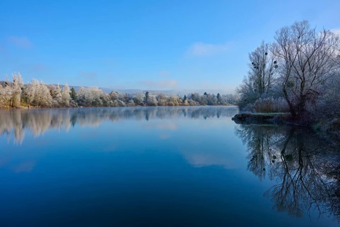 A clear winter day on a lake with reflecting water and bare trees, hoarfrost, winter, Mondsee,