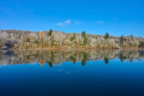 Wintery forest reflected in the clear water of a lake under a blue sky, hoarfrost, winter, Mondsee,