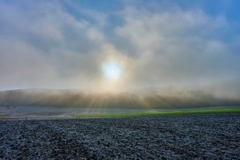 Sunrise through fog over a field with blue sky, hoarfrost, winter, Urphar, Main-Tauber district,
