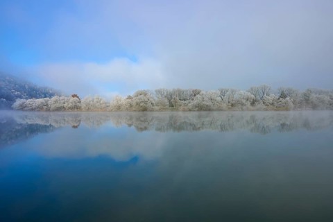 Winter landscape with a view of a clear river and snow-covered rows of trees, hoarfrost, winter,