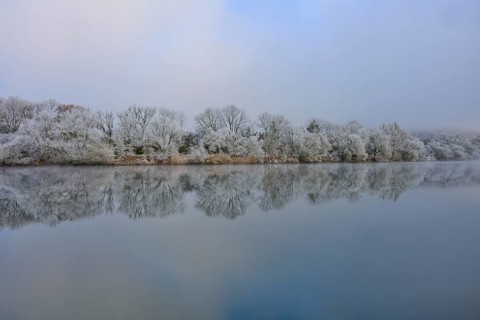 Misty winter landscape with smooth, calm river and snow-covered trees, hoarfrost, winter, Boxtal,