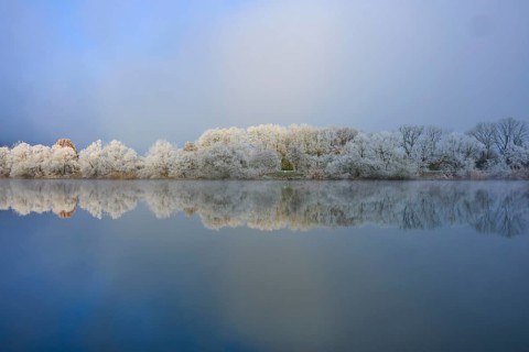 Winter landscape with reflecting trees in a foggy and cloudy river, hoarfrost, winter, Boxtal,