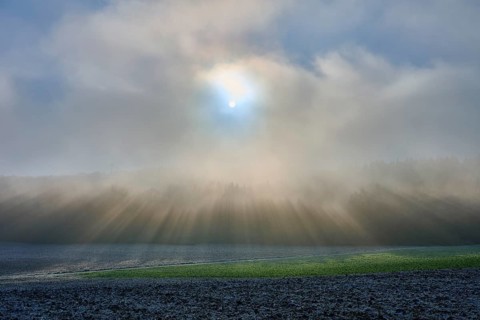 Morning fog over a field with bright sunlight, hoarfrost, winter, Urphar, Main-Tauber district,