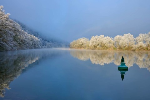 A green buoy on calm water, surrounded by snowy, reflecting trees, hoarfrost, winter, Boxtal,