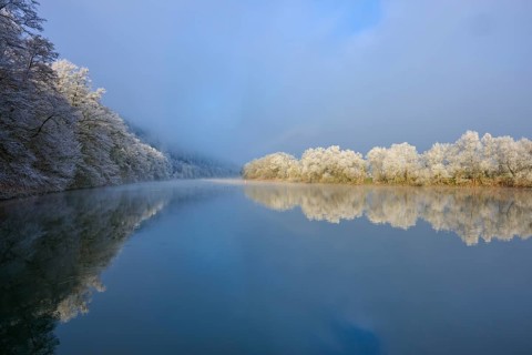 White trees are reflected in the river, which lies in peaceful winter rest under a blue sky,