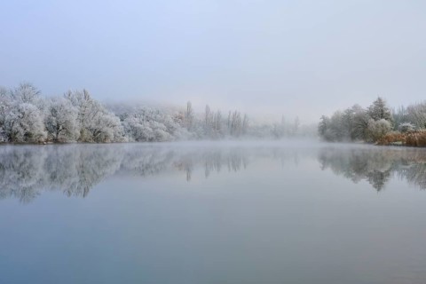 Foggy winter scenery with snow-covered trees reflected in a quiet river, hoarfrost, winter, Boxtal,