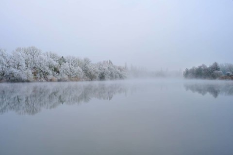 Thick fog surrounds a quiet river with snowy, reflecting trees, hoarfrost, winter, Boxtal,