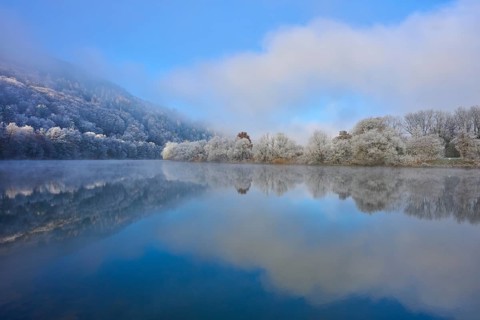 Clear water of a wintry river with fog and reflections of trees, hoarfrost, winter, Boxtal,