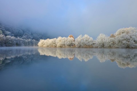 Snowy trees on the river with fog and cool winter atmosphere, hoarfrost, winter, Boxtal,