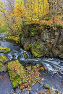 River Bode running through forest showing autumn colours, fall colors at Nature reserve Bode Valley