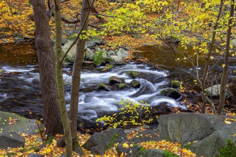 River Bode running through forest showing autumn colours, fall colors at Nature reserve Bode Valley