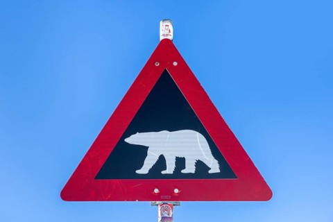 Polar bear warning sign against blue sky, Spitsbergen, Svalbard, Norway