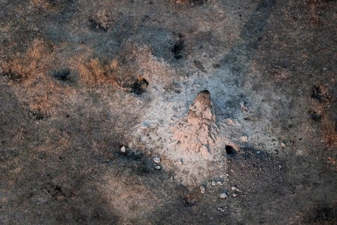 Single termite hill, landscape, aerial view of the Okavango Delta, near Maun, Okavango Delta,