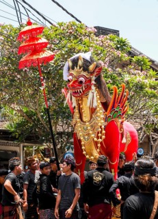 Combustion ceremony (Ngaben), preparation at the cremation site, Ubud, Bali, Indonesia