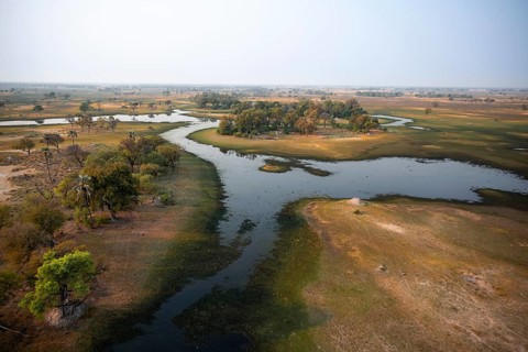 Wetland, landscape, aerial view of the Okavango Delta, near Maun, Okavango Delta, Botswana