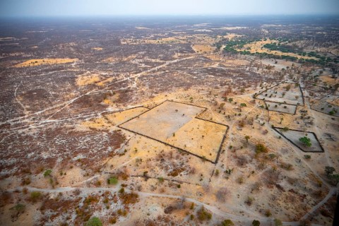 Settlement, simple house and fence, dry savanna landscape, near Maun, aerial view, Okavango Delta,