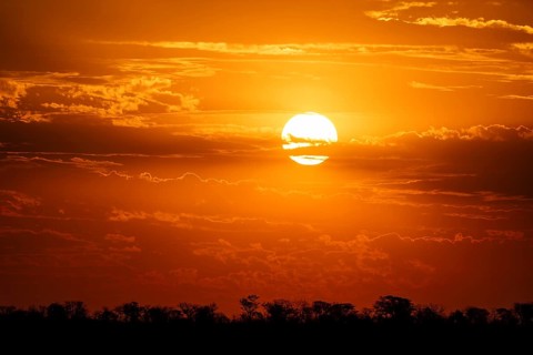 Impressive sunset over the African savanna, silhouette of the horizon with trees in front of the