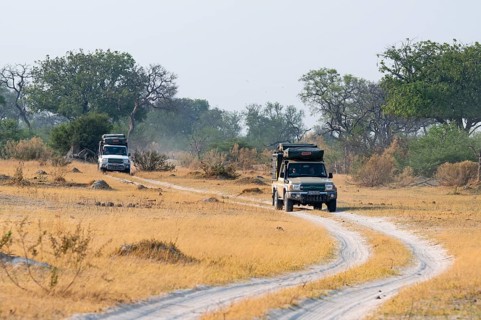Off-road car, safari car driving on dust road, Third Bridge, Okavango Delta, Moremi Game Reserve,