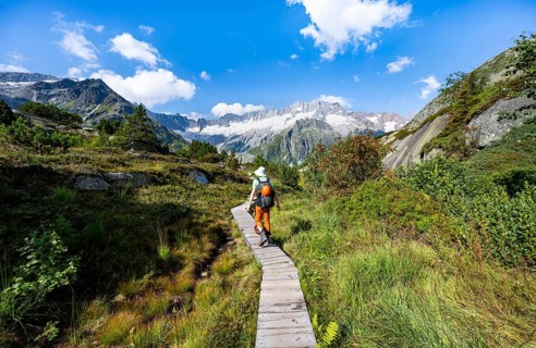 Mountaineers on wooden plank trail through mountain moor, in front of picturesque mountain scenery,