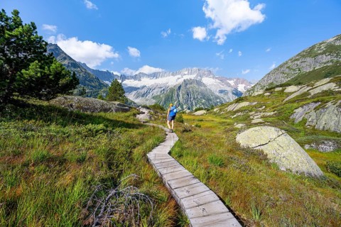 Female mountaineer on wooden plank path through mountain moor, in front of picturesque mountain