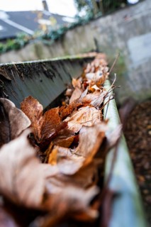 A clogged gutter is filled to the brim with brown, dry autumn leaves, Wuppertal, Germany