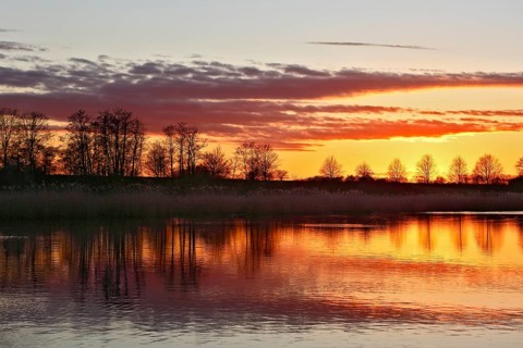 Peaceful sunset with orange sky and reflection of trees in water, Peenetal nature park Park,