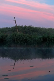 Pink and blue sky reflected peacefully in the water, Peenetal nature park Park, Mecklenburg-Western