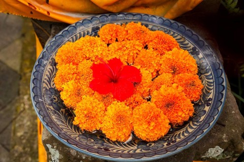 Flowers arranged for beautiful offerings, Bali, Indonesia