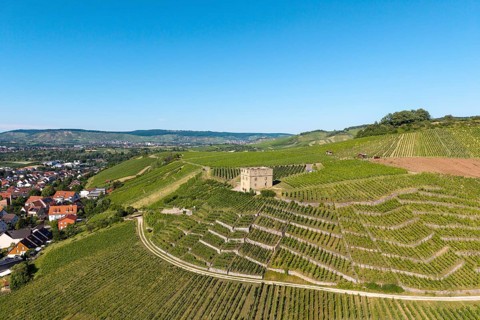 Vineyards with a stone house, on the edge of a village, in a summer landscape, Y-Burg, Stetten im