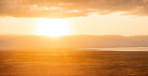 View of savanna landscape at sunrise, atmospheric morning light, view of Ngorongoro Crater, back