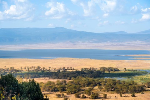 View of savanna landscape and lakes in the Ngorongoro Crater from the crater rim in the evening