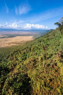 View of Ngorongoro Crater, Crater Viewpoint, Forest and Savanna Landscape, Ngorongoro Conservation