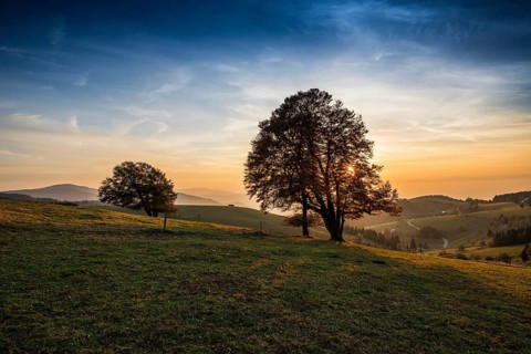 Weather forecast in autumn, sunset, Schauinsland, Freiburg im Breisgau, Black Forest,