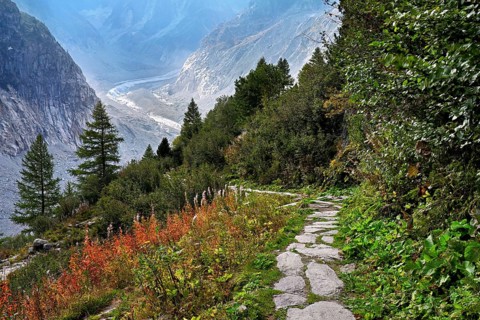 Hiking trail in autumn-colored surroundings with the Mer de Glace glacier, Mont-Blanc,