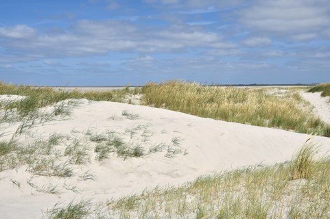 Dune landscape near Sankt Peter-Ording, Westerhever lighthouse, North Sea, Schleswig-Holstein,