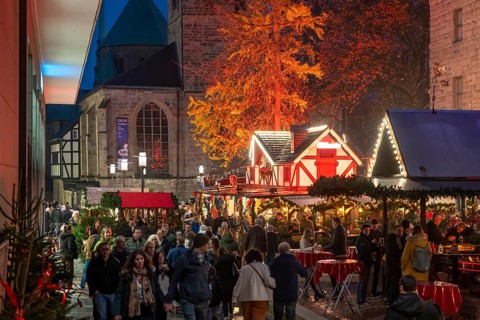Christmas market in Essen, gastronomy, fire forest, at Essen Cathedral, Kettwiger Straße shopping