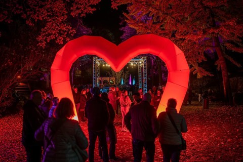 Light art, light installation, illuminated sculptures in the city garden of the city of Radolfzell