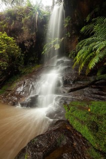 Rainy day reveals lush nature at hidden waterfall in the Blue Mountains, New South Wales, Australia