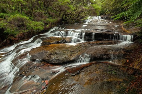 Leura Falls in a lush valley full of ferns and vegetation, Blue Mountains, New South Wales,