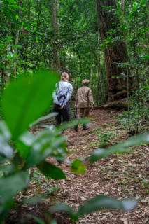Tourists and rangers run in the jungle, Kibale National Park, Uganda