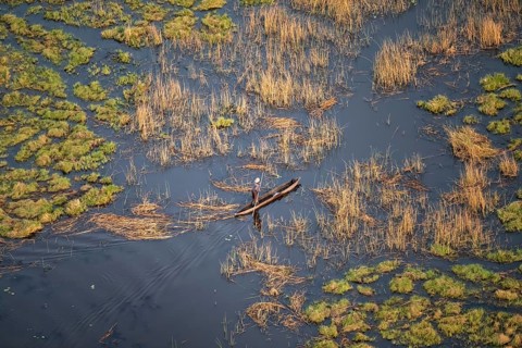 Marshland, marshland, Kavango fishermen with dugout boat, Mokoro, aerial view, Okavango Delta,