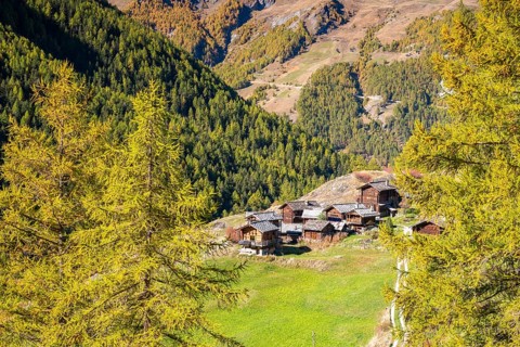 Traditional wooden huts on Alpe near Evolene, Val d'Herens, Canton of Valais, Switzerland