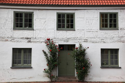 House façade in Wismar on the Baltic Sea in the old town, climbing roses in front of the front