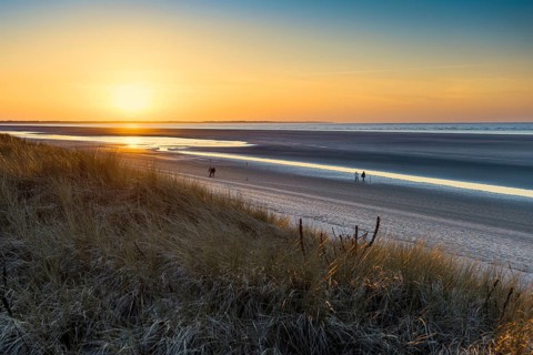 Dunes and blue sky in winter, sunset, Spiekeroog, East Frisian Islands, Lower Saxony, Germany